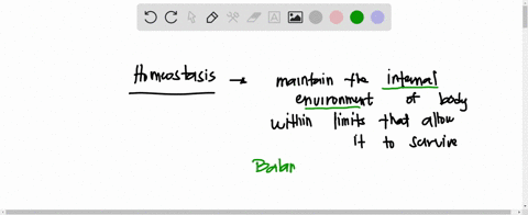 please-select-the-best-example-of-homeostasis-from-the-choices-below-when-muscle-cells-need-more-oxygen-heart-rate-increases-to-pump-blood-faster-when-plants-do-not-get-enough-water-their-va-63026