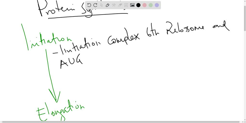 SOLVED What is the correct order of events of protein synthesis in