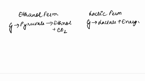 directions-compare-and-contrast-lactic-fermentation-and-ethanol-fermentation-lactic-fermentation-ethanol-fermentation-36172