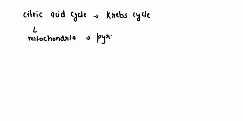 which-step-in-the-process-of-cellular-respiration-produces-the-most-atp-glycolysis-citric-acid-cycle-electron-transport-chain-and-oxidative-phosphorylation-fermentation-08443