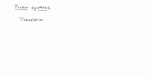 what-process-is-carried-out-by-rna-to-produce-a-protein-34971