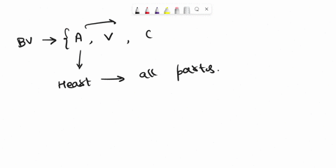 the-________-artery-lies-between-adjacent-renal-pyramids-of-the-kidney-a-interlobar-b-cortical-radiate-c-renal-34681