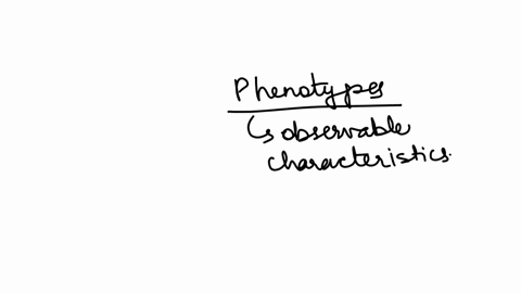 blood-types-are-phenotypes-t-or-f