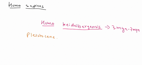 1-the-last-common-ancestor-to-homo-sapiens-is-600-kya-and-is-known-as-a-homo-habilis-b-homo-heidelbergensis-c-homo-neanderthalensis-d-homo-erectus-2-which-of-these-hominidshumans-developed-t-16987