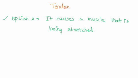 of-the-30-which-of-the-following-is-true-regarding-the-tendon-reflex-it-causes-muscle-that-is-being-stretched-to-contract-it-makes-the-contralateral-motor-neurons-contract-it-mokes-the-ipsil-14642