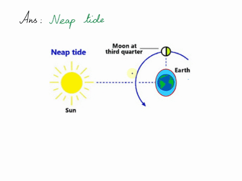 what-tide-occurs-when-the-sun-is-at-right-angles-to-the-line-between-earth-and-the-moon-40728
