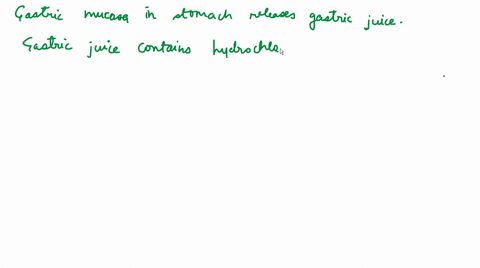 question-8-1-point-which-of-the-following-substances-secreted-by-the-gastric-mucosa-of-the-stomach-promotes-helps-lipid-digestion-bile-gastric-acid-gastric-lipase-pepsin-98435