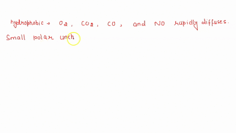 what-kinds-of-molecules-pass-through-a-lipid-bilayer-cell-membrane-most-easily-select-one-a-monosaccharides-such-as-glucose-and-other-sugars-polar-cionic-d-hydrophobic-amphipathic-24746