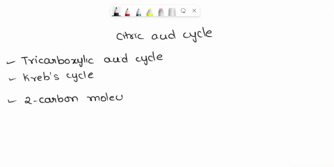 during-the-citric-acid-cycle-which-is-also-known-as-the-15_____-cycle-the-two-carbon-molecules-fed-into-the-cycle-are-broken-down-into-more-single-carbon-molecules-of-16______-29073