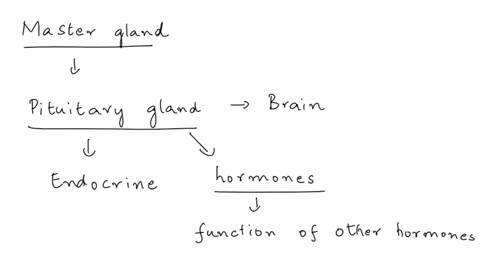 which-gland-is-referred-to-as-the-master-gland-in-human-body-give-examples-to-justify-its-name-37094