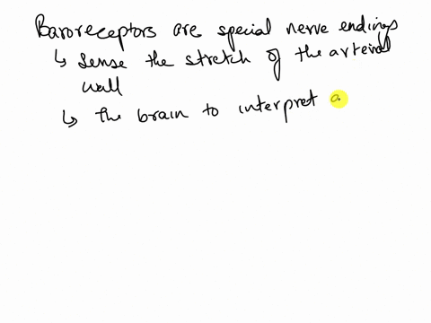 which-nerves-specifically-carry-the-information-to-the-brain-from-the-baroreceptors-are-they-cranial-or-spinal-are-they-communicating-efferently-or-afferently-05153