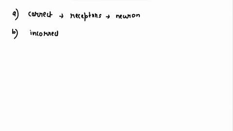 question-10-complete-identify-the-incorrect-statement-describing-neurons-150-points-out-of-300-select-one-or-more-neurotransmitters-bind-t0-receptors-on-dendrites-b-neurotransmitter-reuptake-84197
