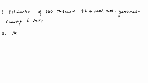 during-which-type-of-glycolysis-ample-amount-of-atp-can-be-generated-all-of-the-answers-are-correct-during-creatine-phosphate-pathway-regeneration-during-aerobic-glycolysis-during-anaerobic-02171