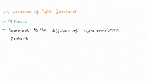 1-the-purpose-of-tight-junctions-in-an-epithelial-cell-layer-is-to-communicate-through-channels-that-cross-both-membranes-attach-cells-together-tightly-restrict-liquids-from-crossing-the-tis-11316