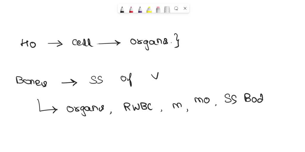 SOLVED: The talocrural joint is comprised of the: Group of answer ...