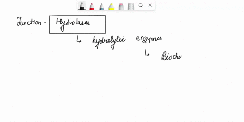 aojeojiei-and-learning-outcomes-review-a-nods-critical-thinking-describe-the-tuncton-hydrolises-decrihc-chcmaetn-stanch-hydrolysis-the-chemical-used-detect-microbial-ctarch-hydrolysis-sturch-06807