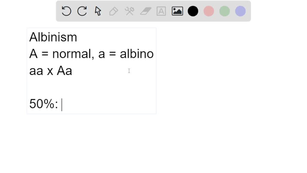 Classical Albinism Results From A Recessive Allele