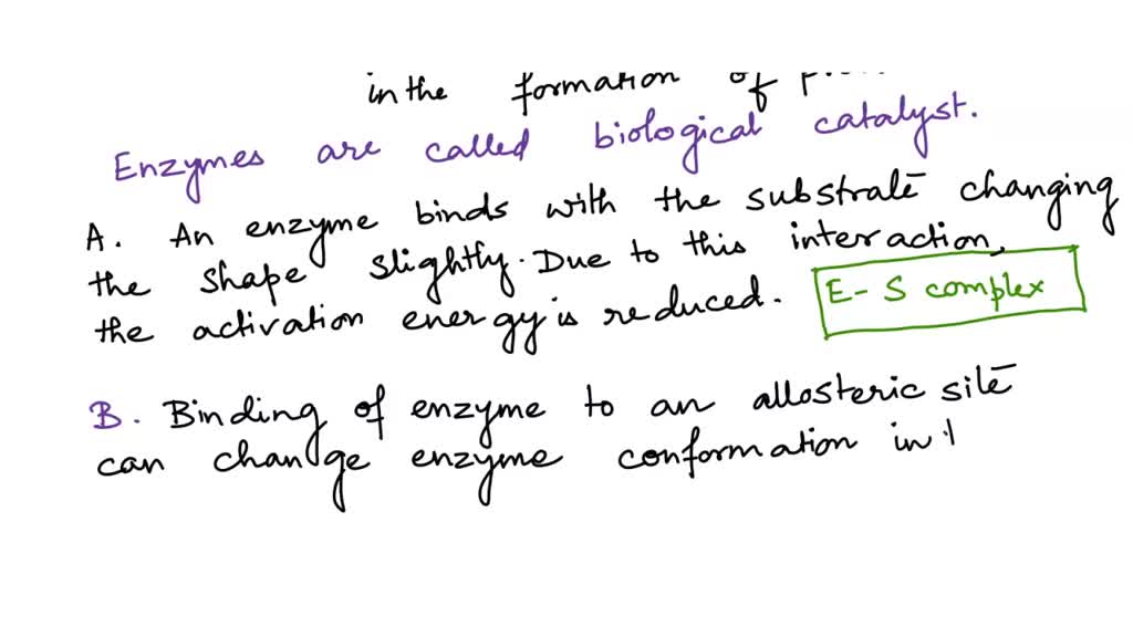 SOLVED Question 22 of 30 How do enzymes lower the activation energy of