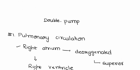 the-heart-is-called-a-double-pump-because-there-are-two-functionally-separate-circulations-trace-the-pathway-of-each-of-these-circulations-and-include-the-following-information-heart-chamber-73541