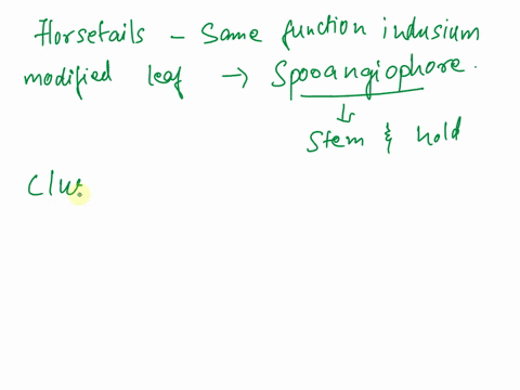 what-structure-in-horsetails-has-the-same-function-as-the-indusium-in-ferns-08965