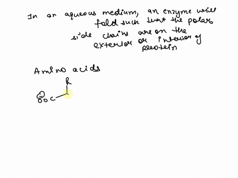 116-in-an-aqueous-medium-will-an-enzyme-fold-such-that-the-polar-side-chains-are-on-the-interior-or-exterior-of-the-protein-explain-why-an-enzyme-folds-in-this-manner-72225