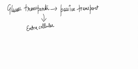 glucose-transporter-is-a-membrane-protein-that-enables-glucose-to-move-across-the-cellular-membrane-from-the-extracellular-side-to-the-intracellular-side_-it-is-classified-a5-passive-transpo-39677