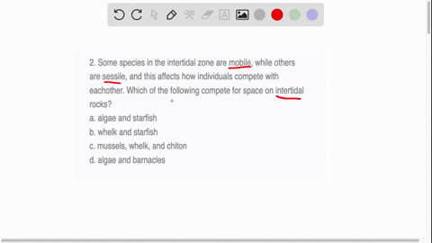 2-some-species-in-the-intertidal-zone-are-mobile-while-others-are-sessile-and-this-affects-how-individuals-compete-with-eachother-which-of-the-following-compete-for-space-on-intertidal-rocks-73537
