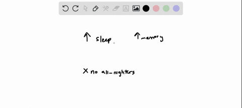 researchers-believe-that-one-important-function-of-sleep-is-to-facilitate-learning-and-memory-how-do-23518
