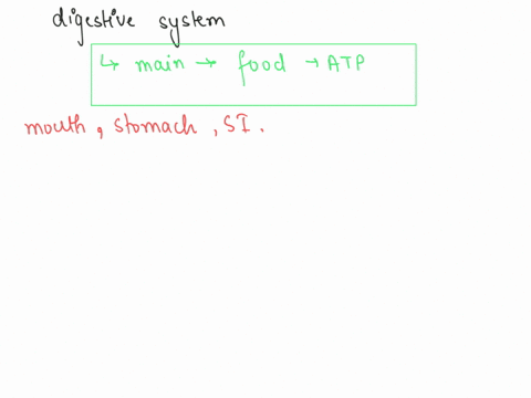 digestive-system-form-and-function-07724