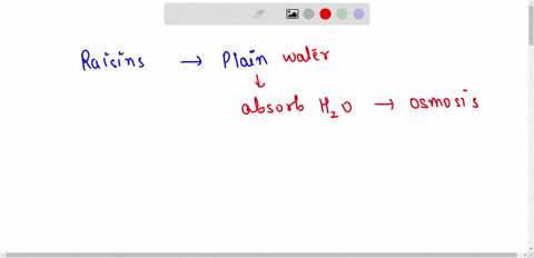 what-will-happen-if-we-will-put-rasins-in-plain-water-and-salty-water-67925