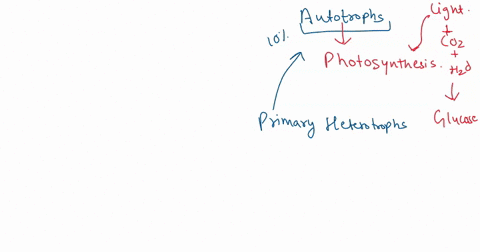 what-do-autotrophs-provide-heterotrophs-energy-b-protein-oils-d-more-than-one-of-the-answers-are-correct-e-none-of-the-answers-is-correct-when-fan-is-plugged-in-and-turned-on-clectrical-ener-48066