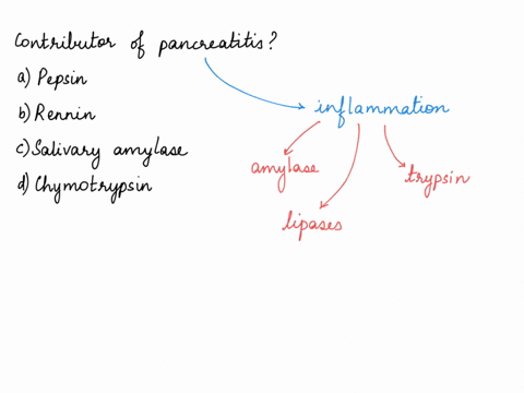 which-of-the-following-enzymes-could-be-a-contributor-to-pancreatitis-which-of-the-following-enzymes-could-be-a-contributor-to-pancreatitis-a-pepsin-b-rennin-csalivary-amylase-dchymotrypsin-03169