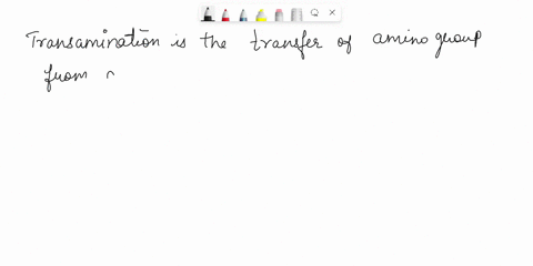 deamination-of-amino-acids-in-most-cases-is-achieved-by-transamination-identify-the-sxc-sitement-a-transamination-is-the-transfer-of-the-amino-group-from-an-amino-acid-to-an-q-keto-acid-to-y-38318
