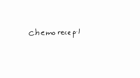 7-chemoreceptors-in-the-carotid-artery-and-aorta-detect-levels-of-oxygen-only-levels-of-mathrmco_2-only-levels-of-carbon-monoxide-only-level-of-mathrmo_2-and-mathrmco_2