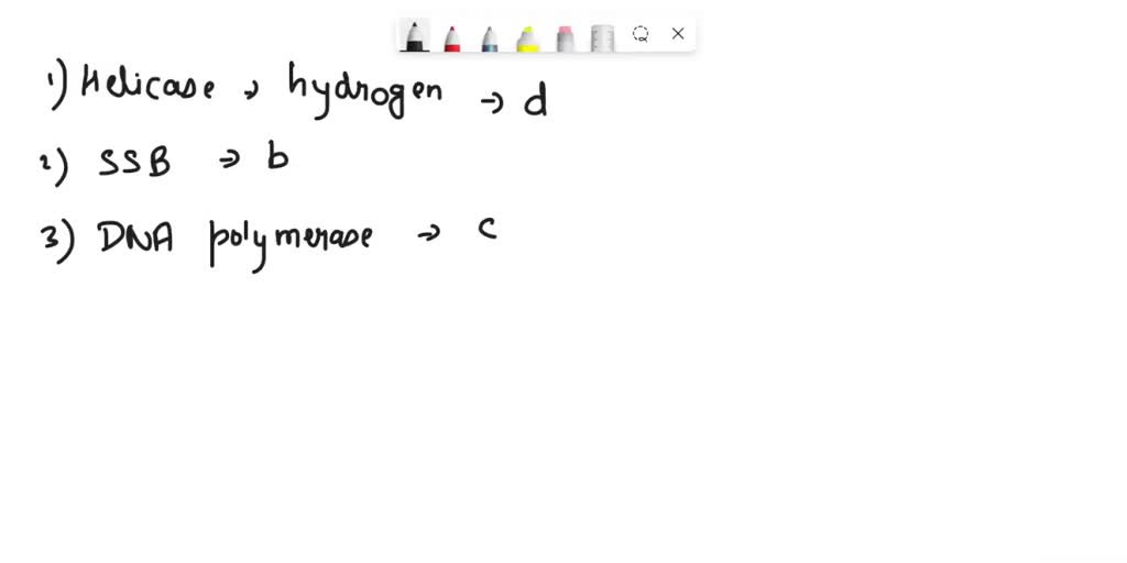 SOLVED: Match the following: Replication molecules to their functions 1 ... 