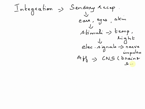 1-sensory-receptors-receive-convert-and-amplify-signals-before-transmitting-them-to-the-_______________-where-the-integration-of-information-takes-place-motor-neurons-peripheral-nervous-syst-93032