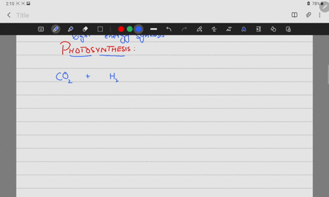how-is-photosynthesis-influenced-by-an-increase-in-co2-76415
