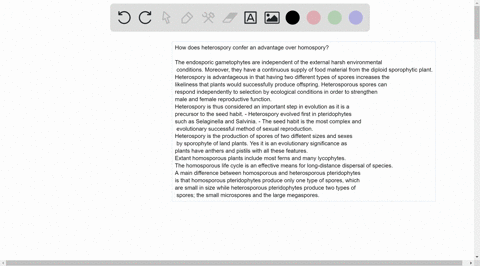 how-does-heterospory-confer-an-advantage-over-homospory-what-are-the-disadvantages-34142