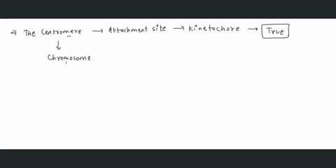 26-true-t-or-false-f-the-centromere-is-the-attachment-site-for-the-kinetochore-and-base-pairs-are-held-together-by-three-hydrogen-bonds-the-5-end-of-a-dna-strand-always-has-sugar-and-the-end-15855