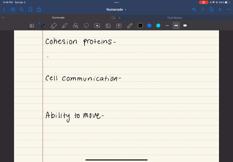 which-of-the-following-is-not-required-for-multicellularity-select-all-that-apply-cell-differentiation-cohesion-proteins-cell-communication-ability-to-move-65477