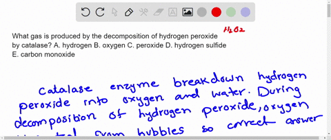 what-gas-is-produced-by-the-decomposition-of-hydrogen-peroxide-by-catalase-a-hydrogen-b-oxygen-c-peroxide-d-hydrogen-sulfide-e-carbon-monoxide-95864