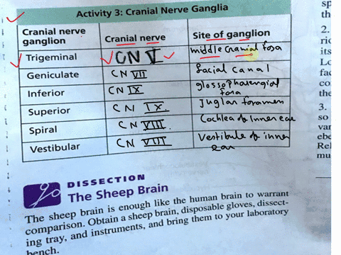 please-help-fill-in-this-chart-and-explain-for-techniques-help-you-understand-cranial-nerve-pertains-to-some-aspects-of-brain-function-d-panying-chart-using-your-textbook-or-another-appropri-56543