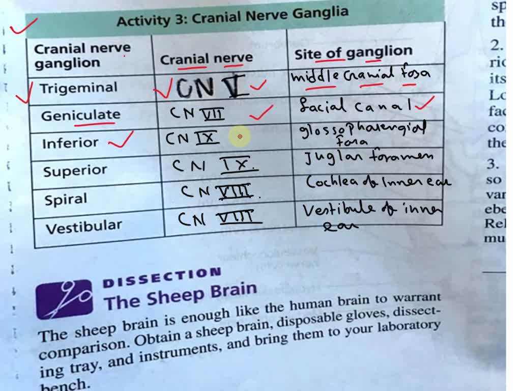 SOLVED: Please help fill in this chart and explain the techniques that