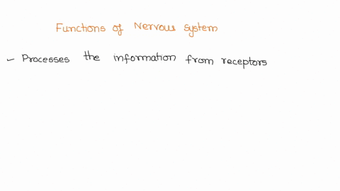 which-of-the-following-are-functions-of-the-nervous-system-check-all-that-apply-the-nervous-system-processes-information-from-receptors-that-detect-changes-in-the-environment-the-nervous-sys-74119