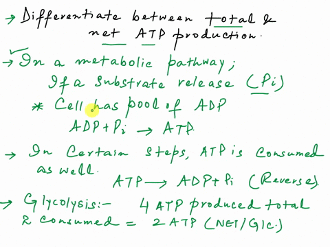why-is-there-a-difference-between-the-total-amount-of-atp-produced-and-the-net-amount-of-atp-produced-33576