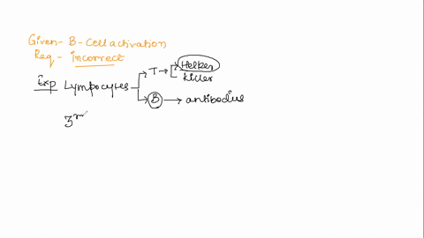 much-like-t-cells-b-cells-require-3-signals-to-become-activated-which-option-describes-an-event-that-does-not-occur-during-b-cell-activation-question-options-1-naive-b-cell-recognizes-unproc-73457