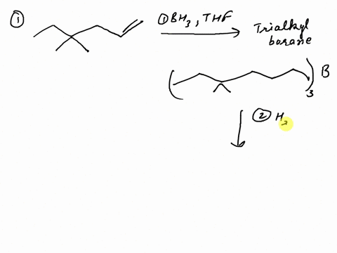 what-is-the-expected-major-product-for-the-following-reaction-sequence-bhs-t-thf-2-hzoz-naoh-oh-coz-oh-oh-oh-enantiomer-enantiomer-for-tha-reaction-shown_-select-the-expected-major-organic-p-98443