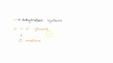 question-21-in-the-disaccharide-maltose-two-glucose-molecules-are-bound-to-each-other-via-o-a-an-ester-linkage-b-dehydration-synthesis-c-a-peptide-bond-daand-b-an-ester-linkage-and-dehydrati-54978