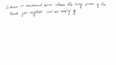 which-of-the-following-is-the-name-of-a-suture-between-the-parietal-bones-and-the-frontal-bone-lambdoidal-suture-sagittal-suture-squamous-suture-coronal-suture-12491