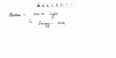 infrared-harvest-consider-the-relation-between-the-energy-of-a-photon-and-its-wavelength-a-some-bact-51526